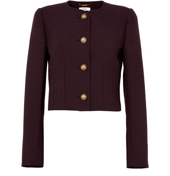  Chloe Single-breasted Jacket 