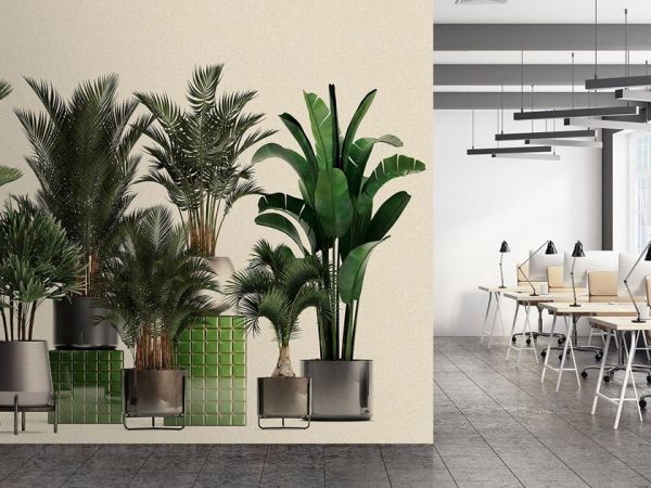  Architects Paper Plant Shop 