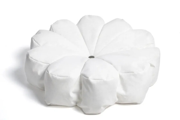  Cozip Daisy Flower 