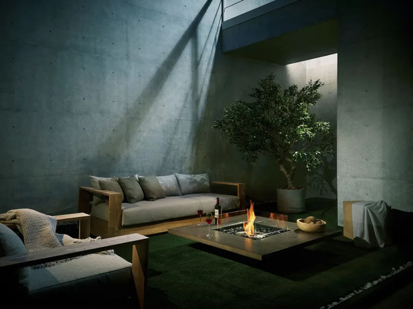  Ecosmart Fire Vertigo 50 
