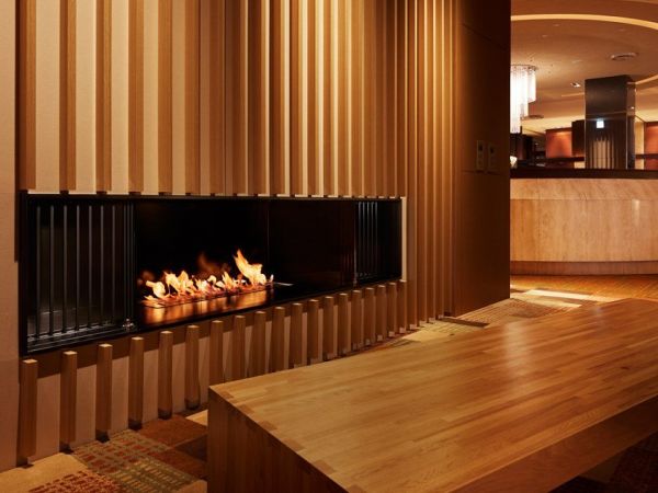  Ecosmart Fire Xl900 
