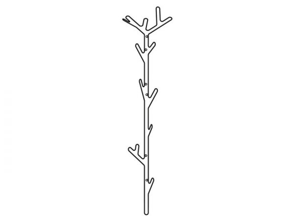  Maze Branch 