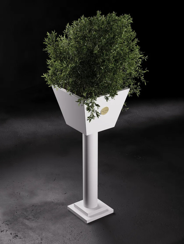  Oro Nero Collection Elegance 