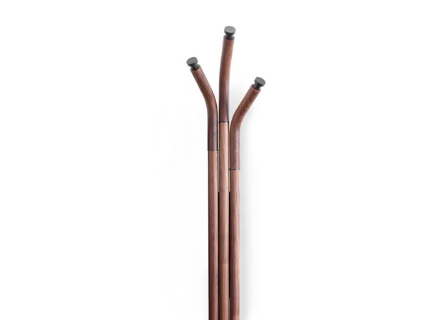  Pacini & Cappellini Mikado 
