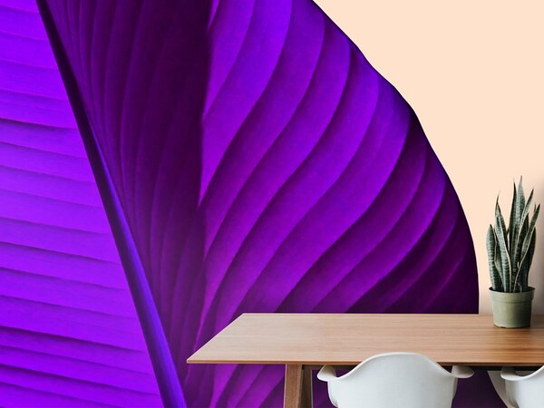  Texturae Color Theory 