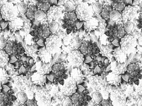  Texturae Wintergarden 