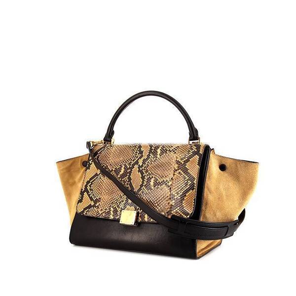  Celine Trapeze Medium Model Handbag In Beige Python And Beige 