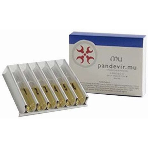  Pandevir Mu Integratore 6 Fiale Da 12 Ml 