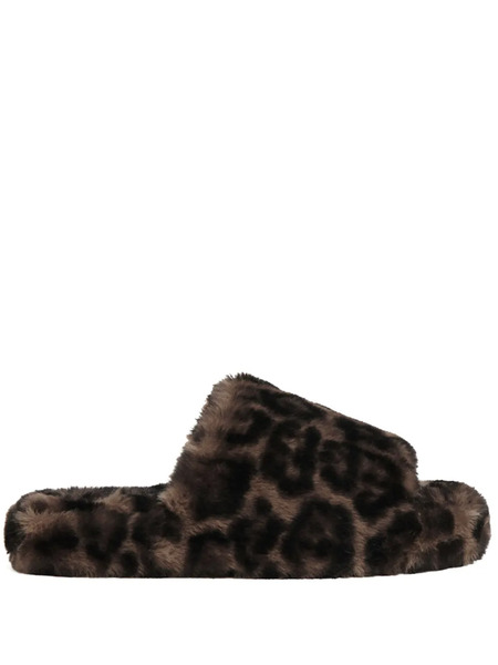  Apparis Slippers Dillon - Marrone 