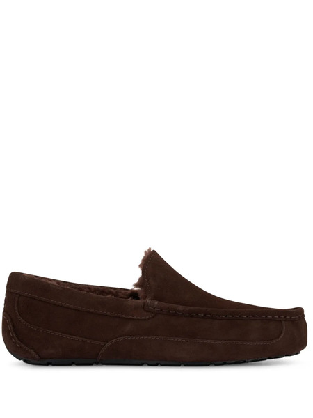  Ugg Slippers Ascot - Marrone 
