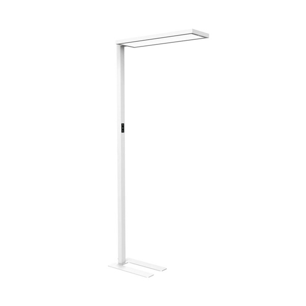  Maul Piantana Led Per Ufficio Maulsenja, Bianca, Sensore, Altezza 196 Cm 