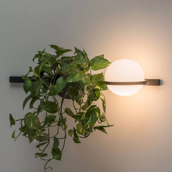  Vibia Vibia Palma 3702 Applique, Vaso Per Piante, Grafite 