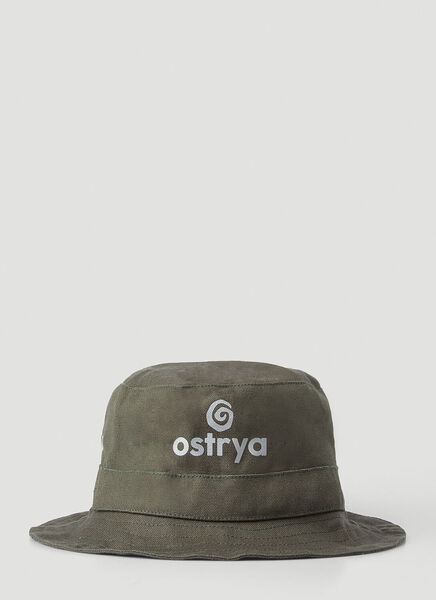  Ostrya  