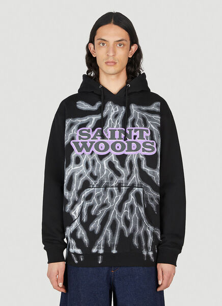  Saintwoods  