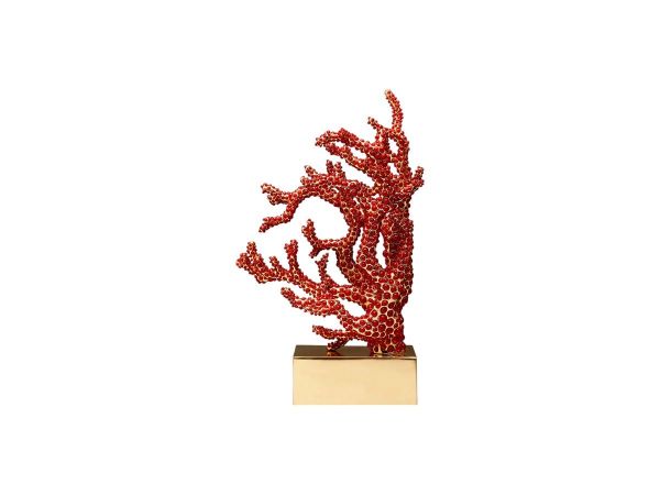  Coral Fermalibri 