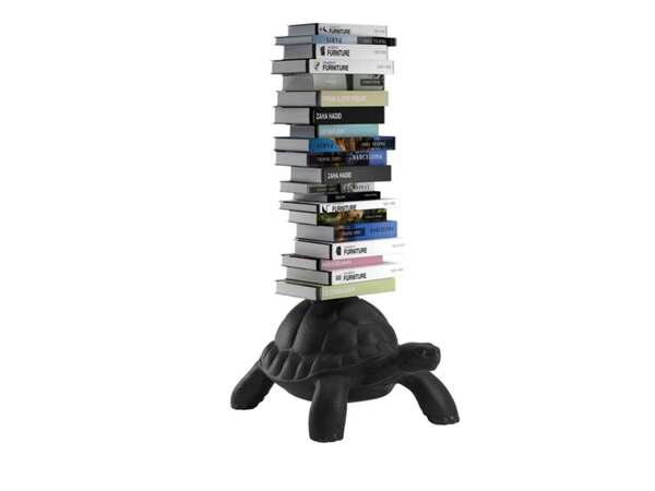  Turtle Carry Libreria 