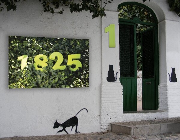  Bingo Decorazione 